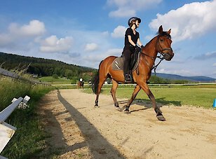 Sommerurlaub auf dem Ferienhof im Bayerischen Wald
